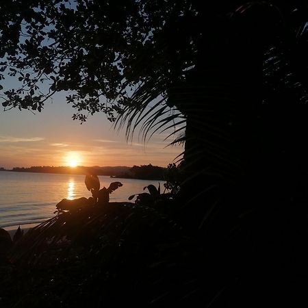 Port Antonio Brian'S Beach House Eksteriør bilde