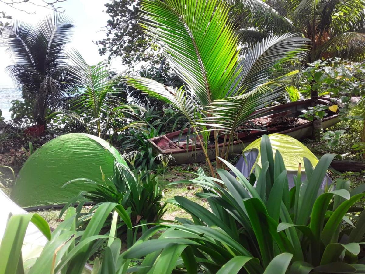 Port Antonio Brian'S Beach House Eksteriør bilde