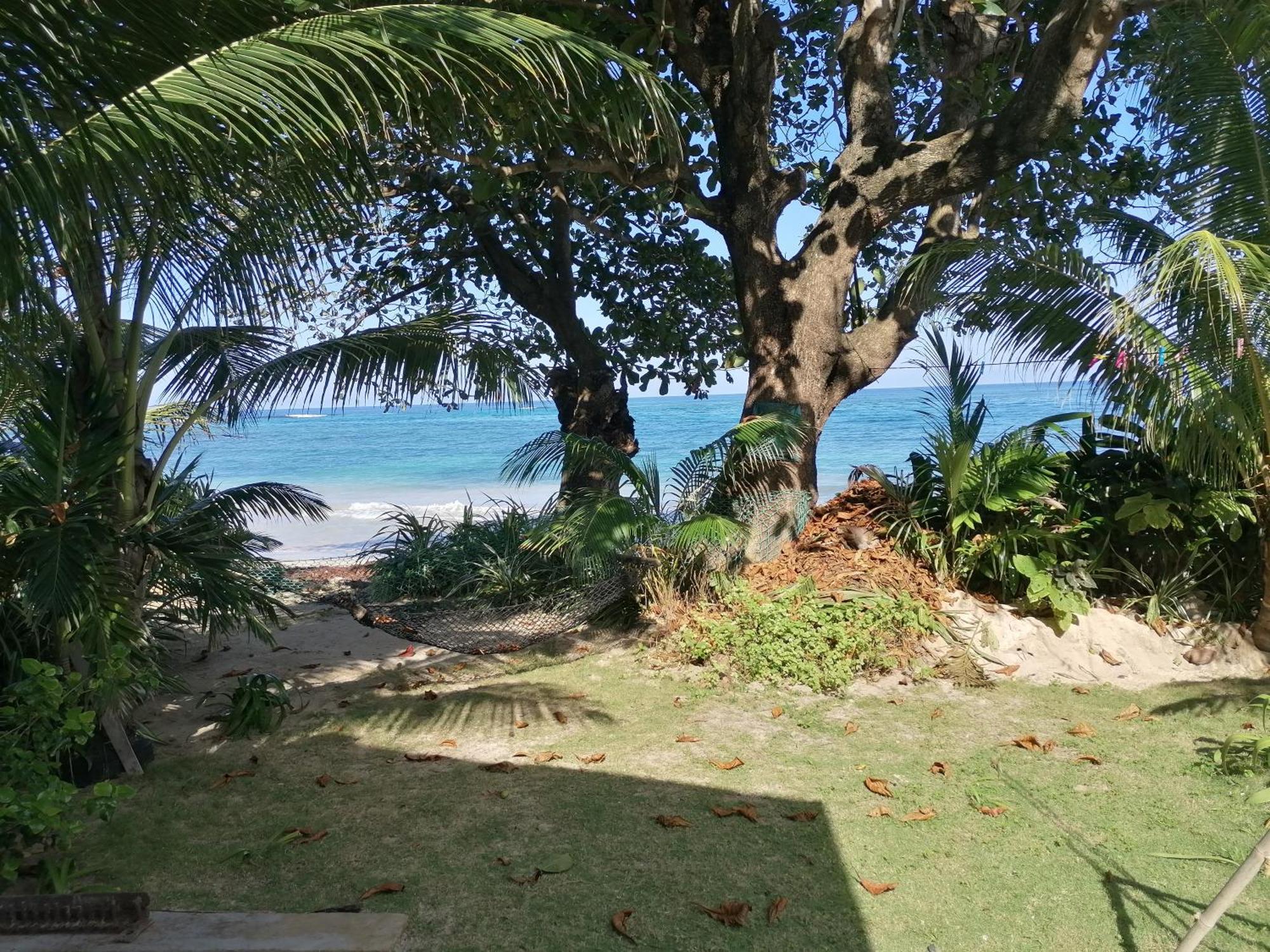 Port Antonio Brian'S Beach House Eksteriør bilde