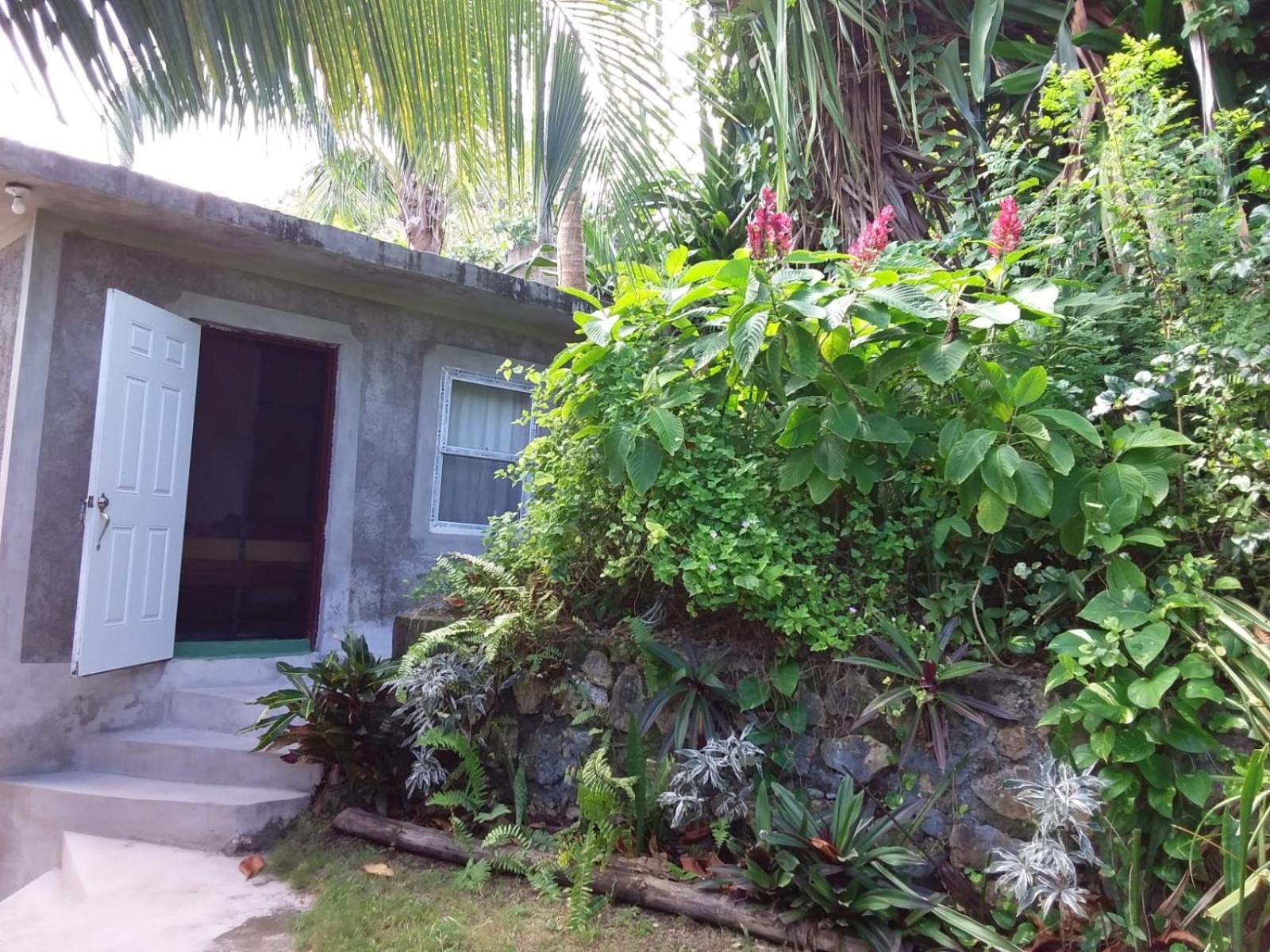 Port Antonio Brian'S Beach House Eksteriør bilde